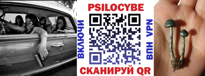 Псилоцибиновые грибы GOLDEN TEACHER где можно купить Суздаль